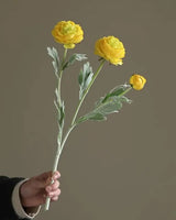 Jaune